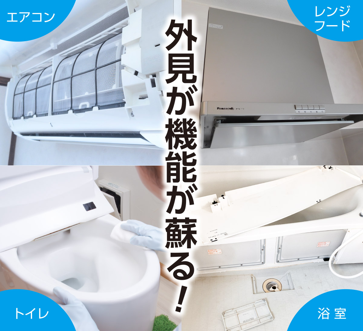 外見が機能が蘇る！